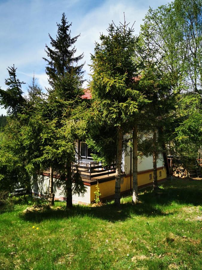 Villa Wójtówka 16 Lądek-Zdrój Exterior foto